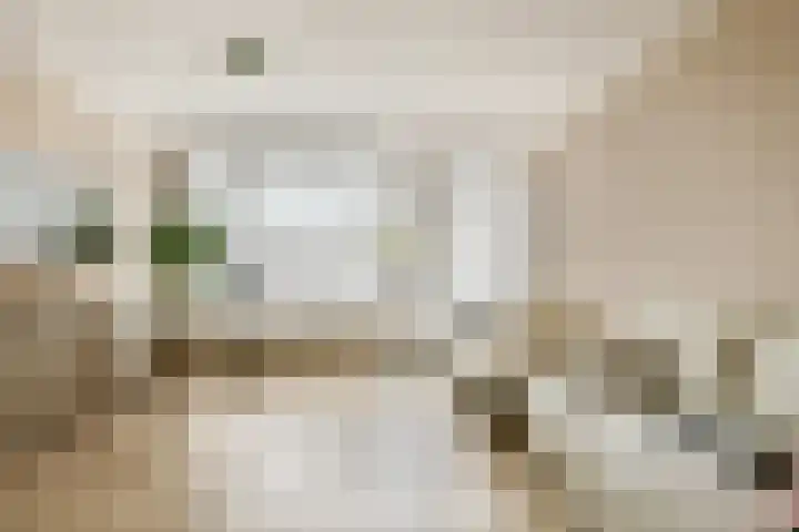 Sibeliusrode 32 Zoetermeer thumbnail 8