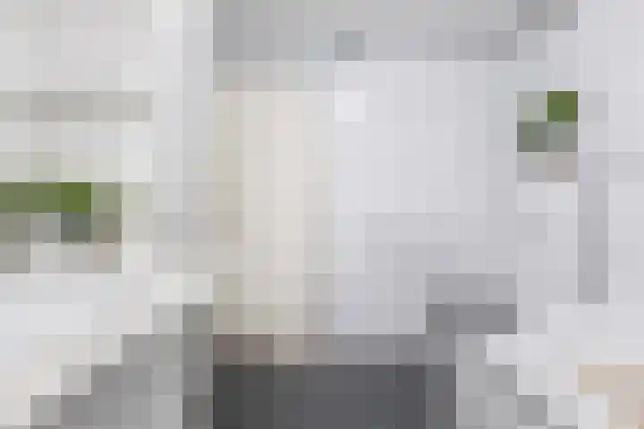 Sibeliusstraat 103 Tilburg thumbnail 22