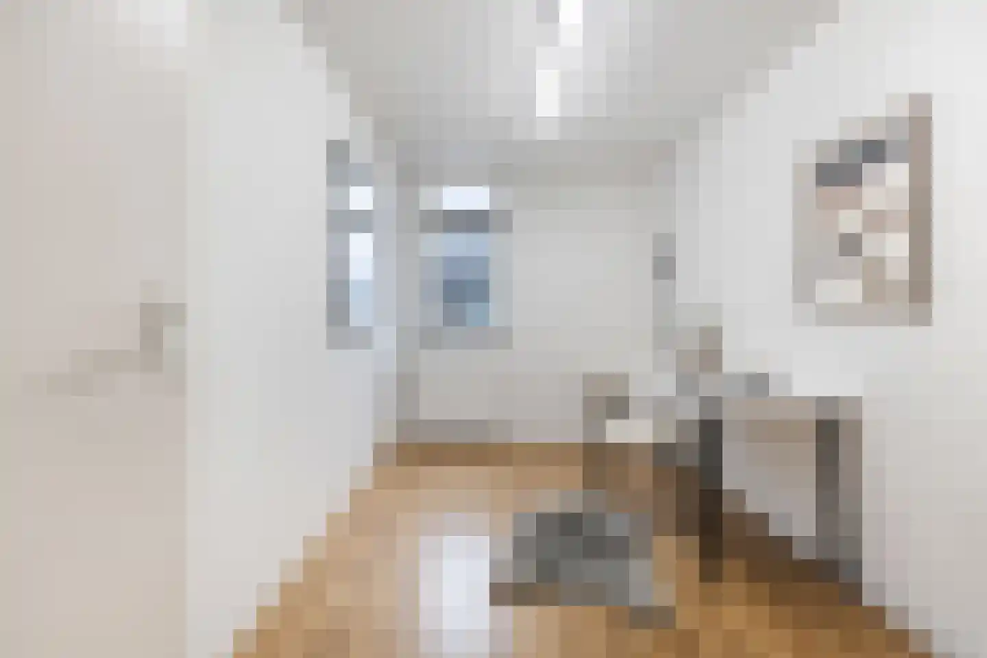 Sibeliusstraat 103 Tilburg thumbnail 24