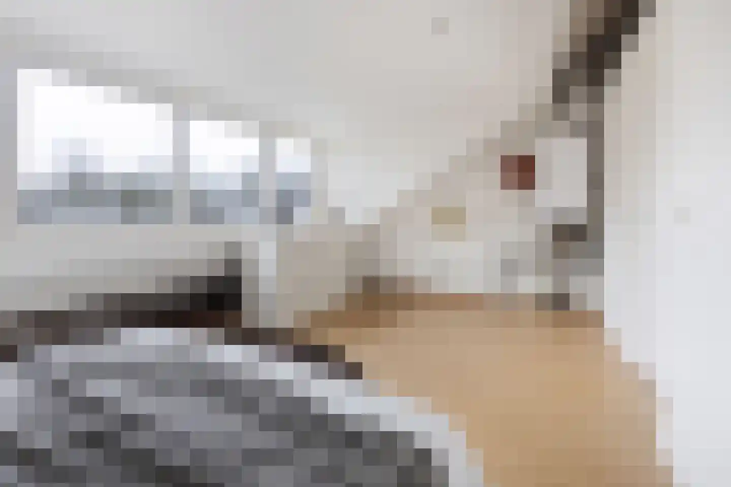 Sibeliusstraat 103 Tilburg thumbnail 32