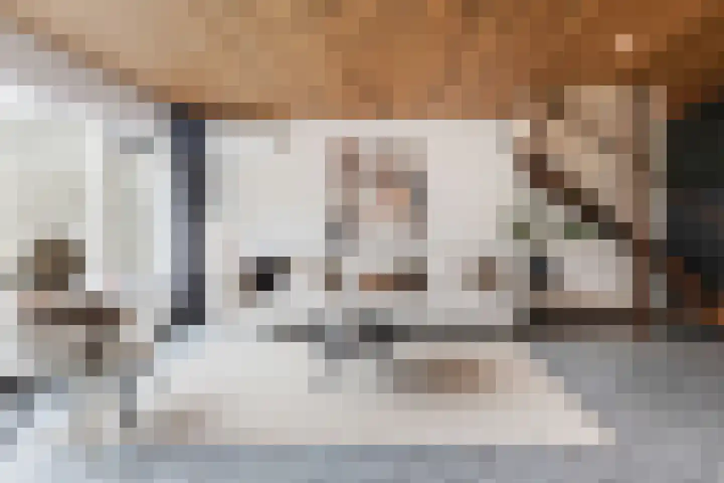 Sibeliusstraat 103 Tilburg thumbnail 7
