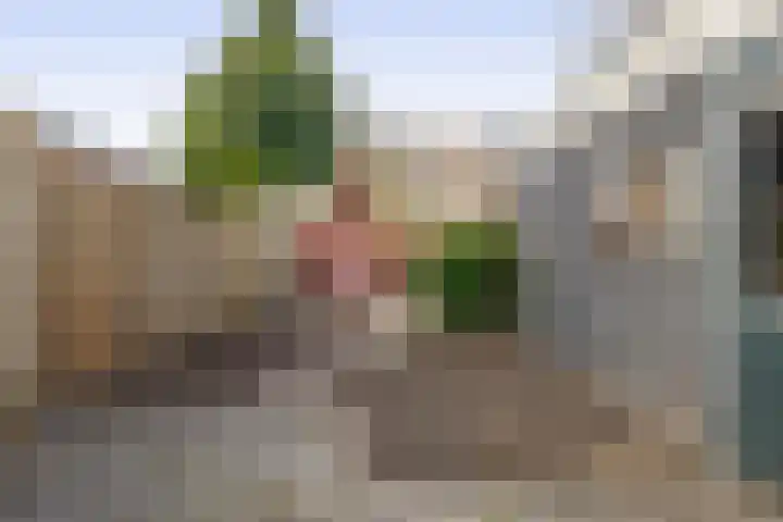 Sibeliusstraat 11 Bergen op Zoom thumbnail 34