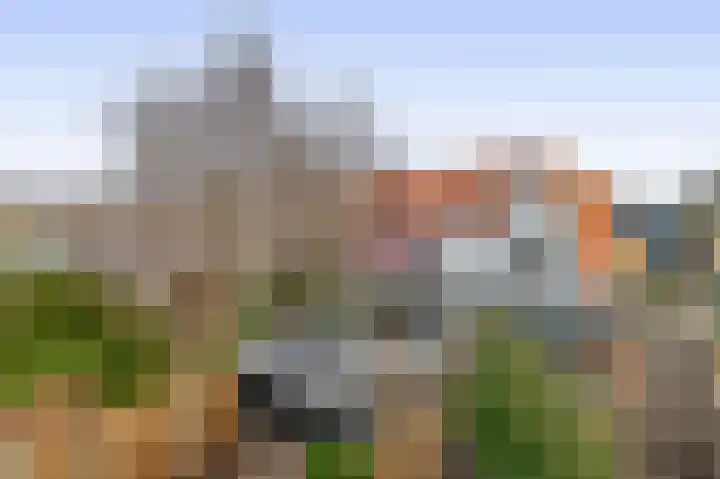 Sibeliusstraat 11 Bergen op Zoom thumbnail 38