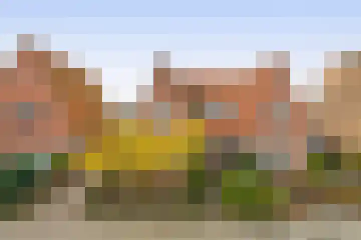 Sibeliusstraat 11 Bergen op Zoom thumbnail 40