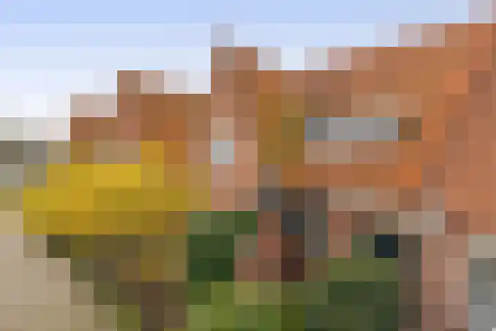 Sibeliusstraat 11 Bergen op Zoom thumbnail 42