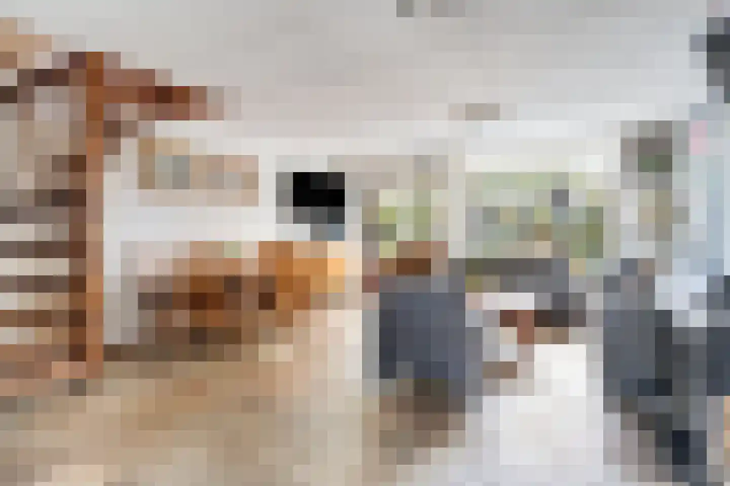 Sibeliusstraat 14 Zwijndrecht thumbnail 15