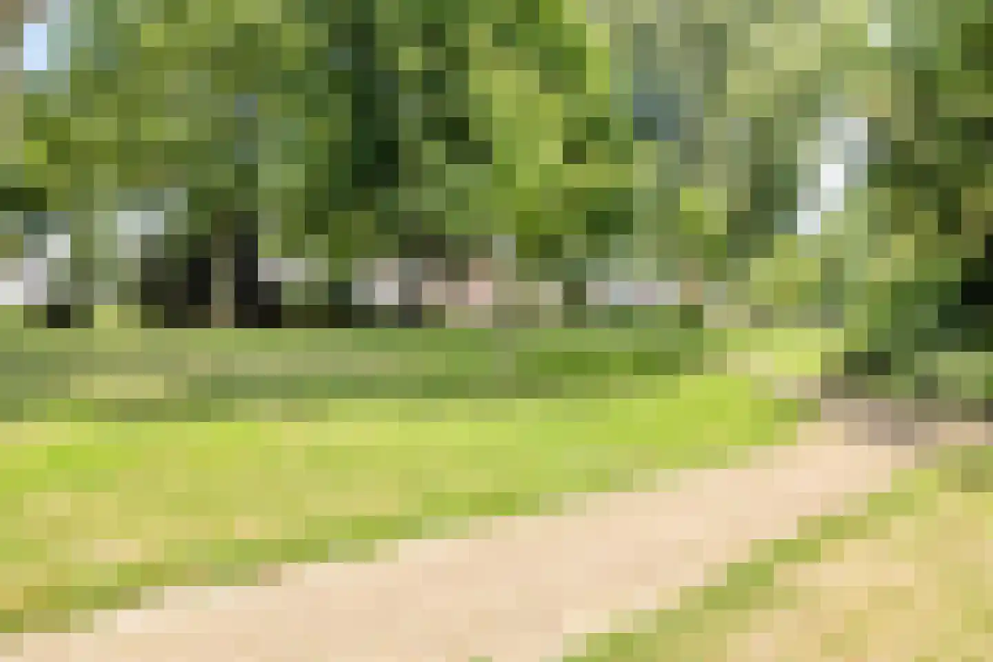 Sibeliusstraat 14 Zwijndrecht thumbnail 37