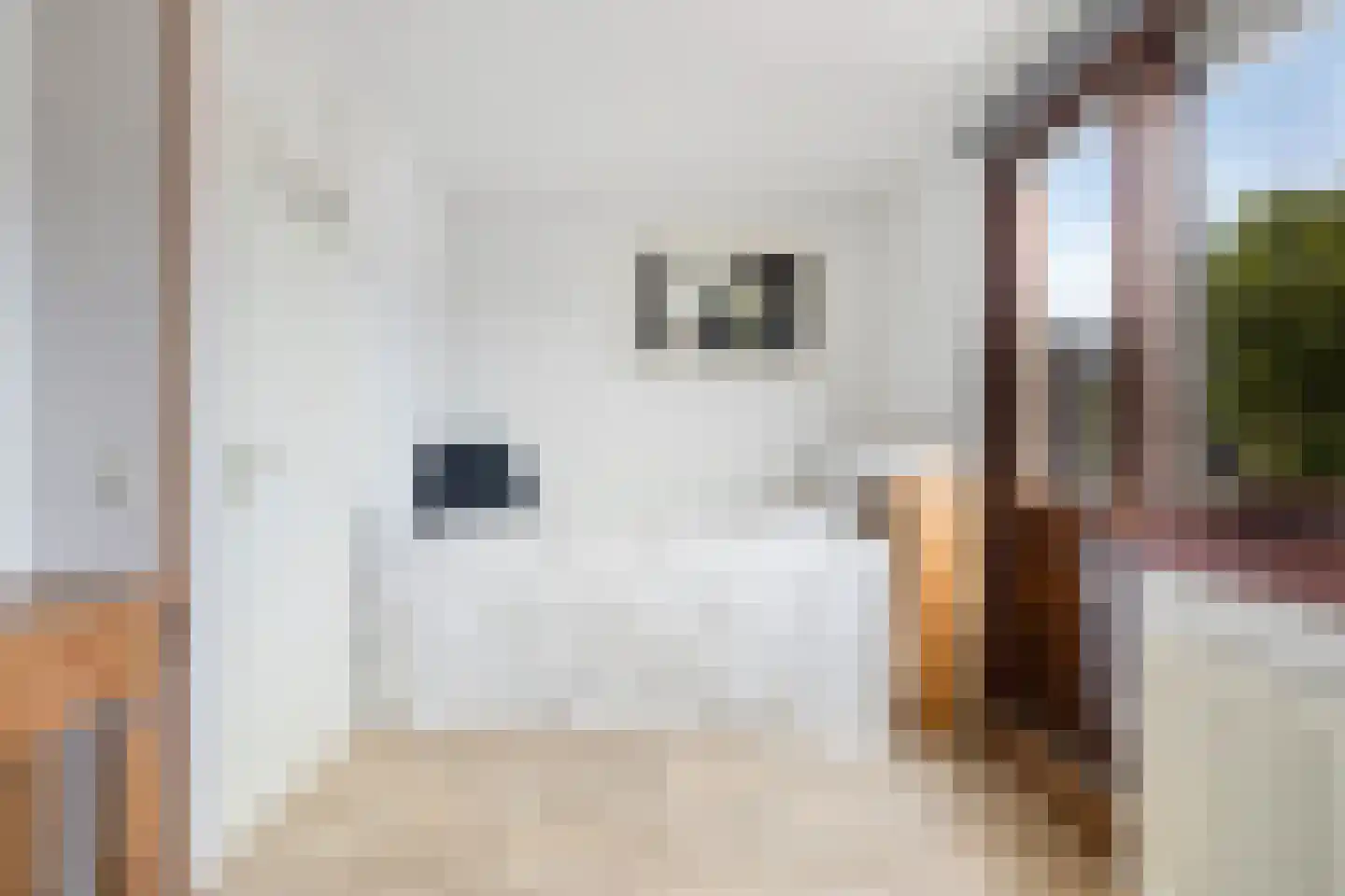 Sibeliusstraat 14 Zwijndrecht thumbnail 8