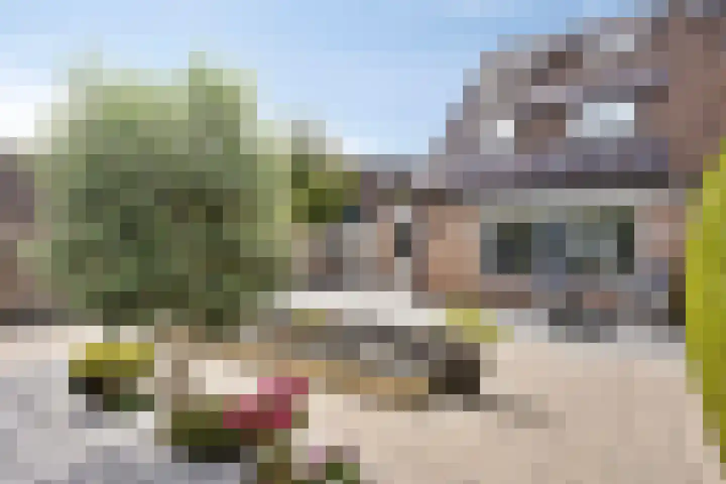Sibeliusstraat 15 Veenendaal thumbnail 27