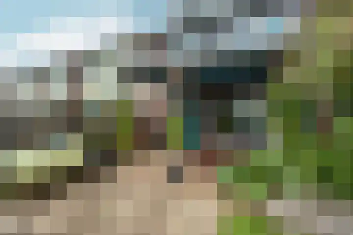 Sibeliusstraat 15 Zevenaar thumbnail 33