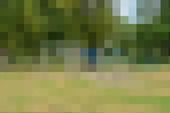 Sibeliusstraat 15 Zevenaar thumbnail 36