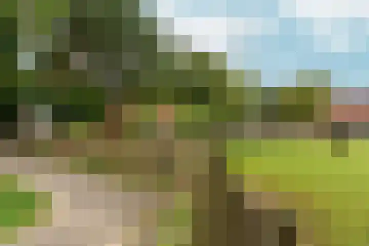 Sibeliusstraat 15 Zevenaar thumbnail 37
