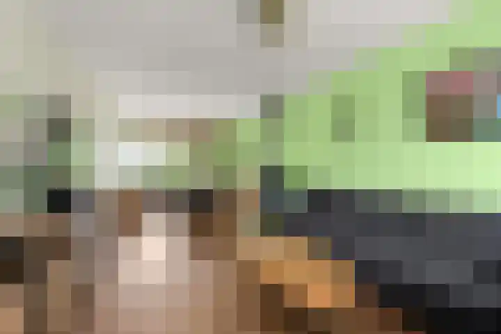 Sibeliusstraat 15 Zevenaar thumbnail 9