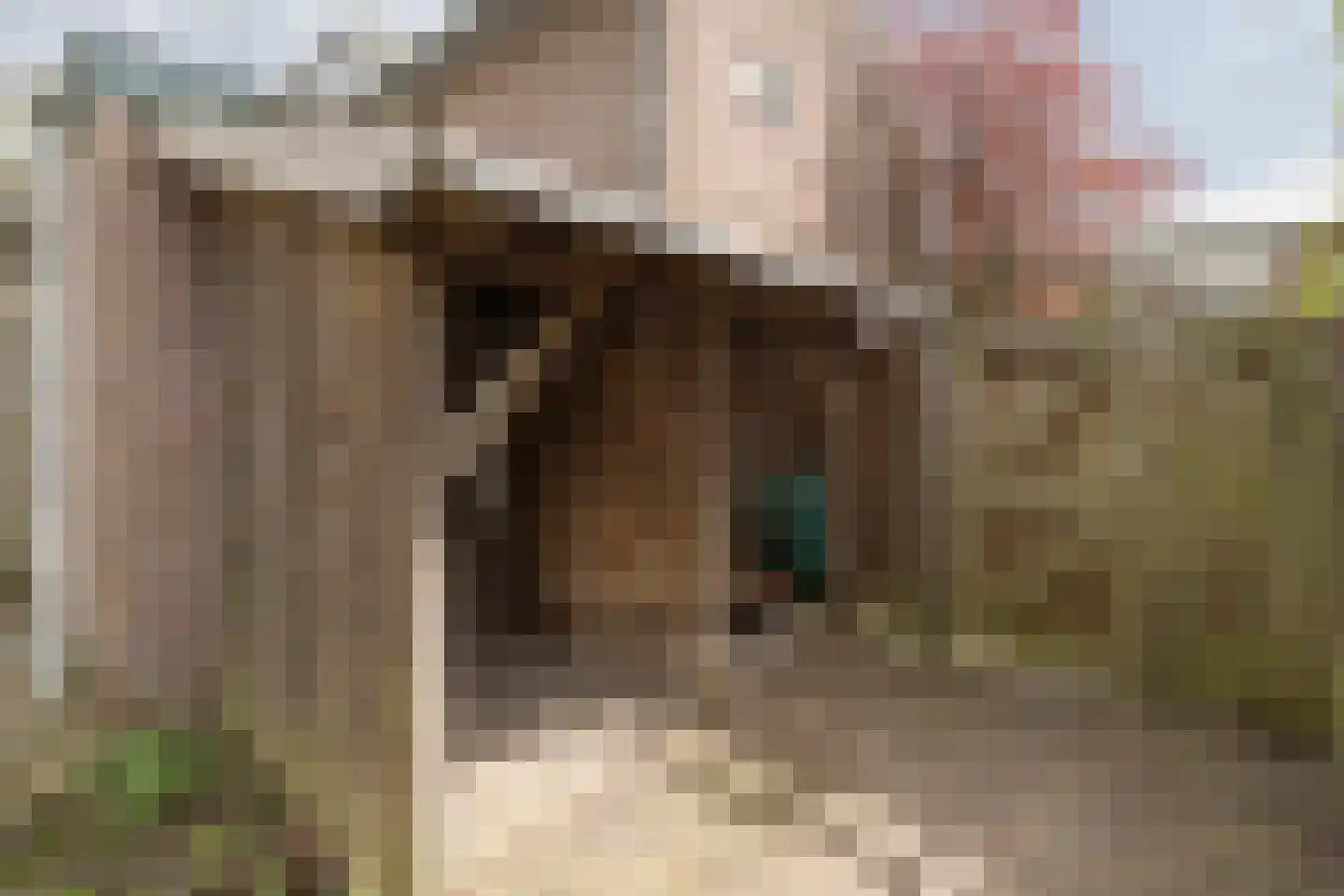 Sibeliusstraat 20 Amersfoort thumbnail 38