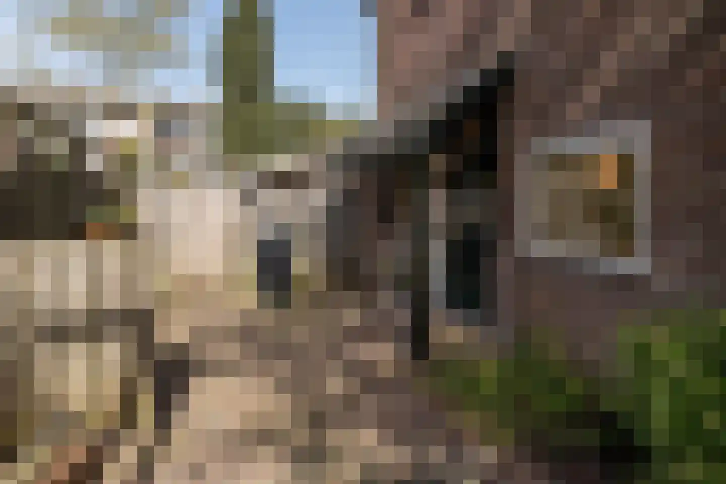 Sibeliusstraat 20 Amersfoort thumbnail 39