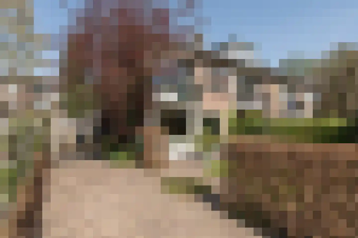 Sibeliusstraat 20 Amersfoort thumbnail 44
