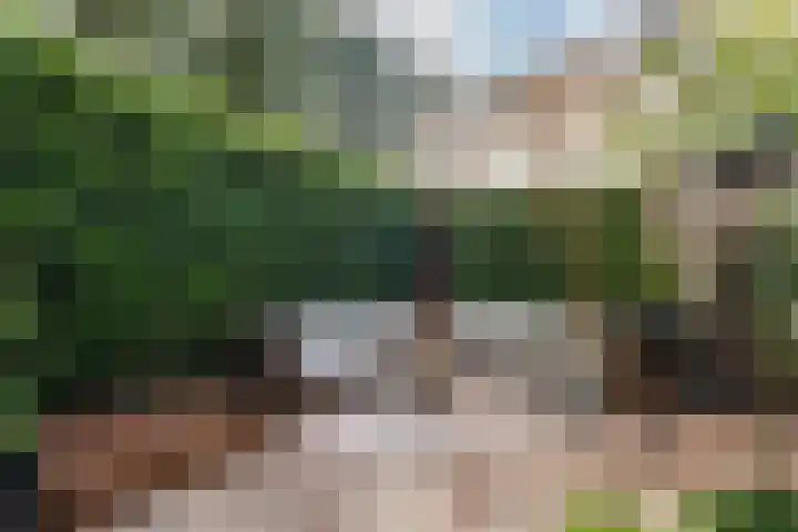 Sibeliusstraat 26 Culemborg thumbnail 31