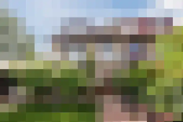 Sibeliusstraat 26 Culemborg thumbnail 32