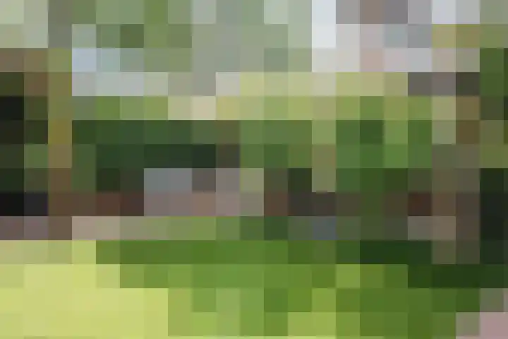 Sibeliusstraat 26 Culemborg thumbnail 4