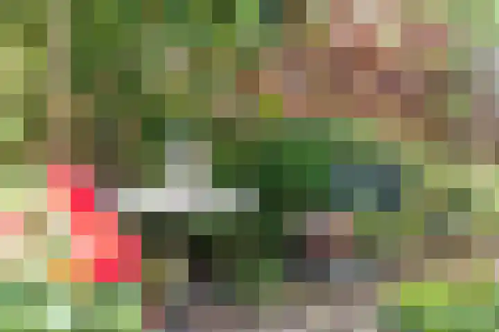 Sibeliusstraat 275 Tilburg thumbnail 27