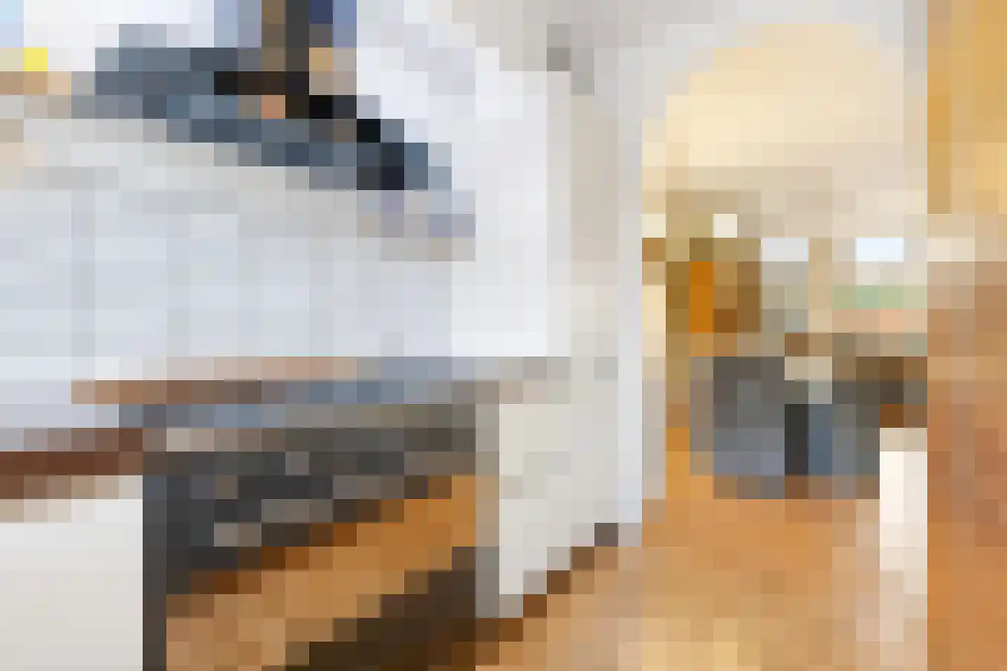 Sibeliusstraat 289 Tilburg thumbnail 10