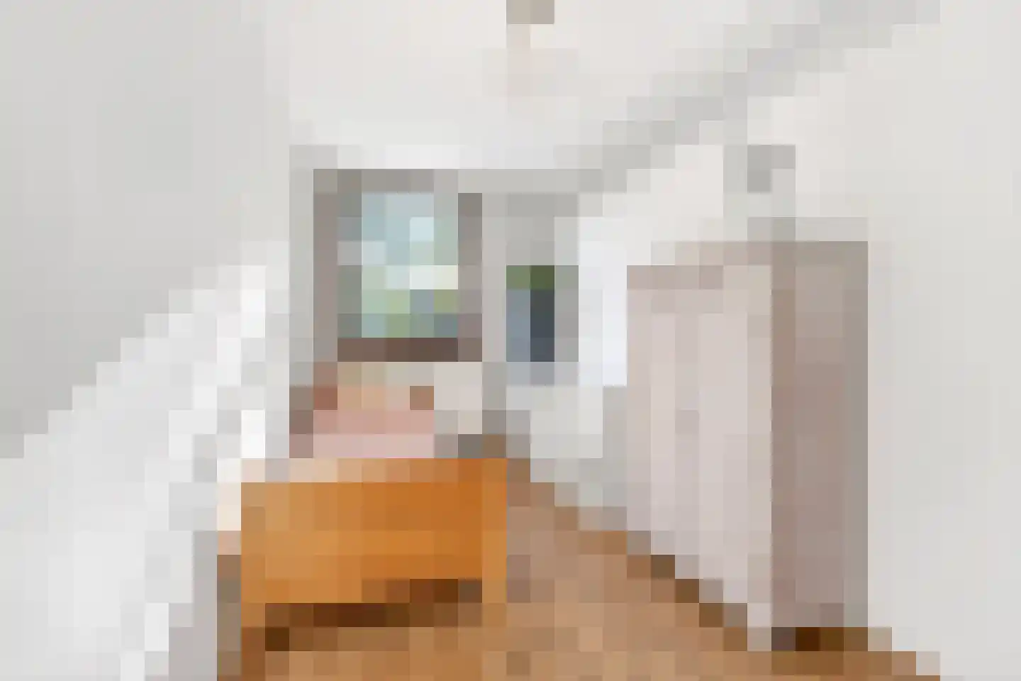 Sibeliusstraat 289 Tilburg thumbnail 19