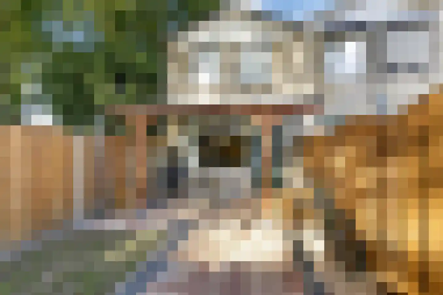 Sibeliusstraat 289 Tilburg thumbnail 34