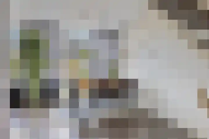 Sibeliusstraat 36 Bergen op Zoom thumbnail 10