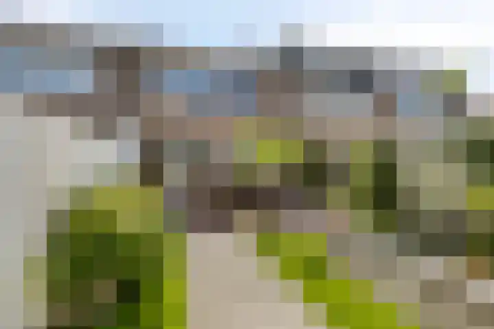 Sibeliusstraat 36 Bergen op Zoom thumbnail 32