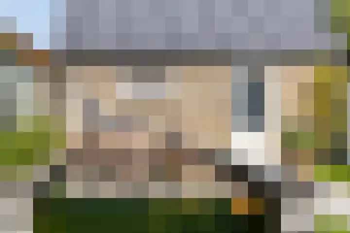 Sibeliusstraat 36 Bergen op Zoom thumbnail 33