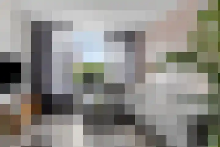 Sibeliusstraat 36 Bergen op Zoom thumbnail 7
