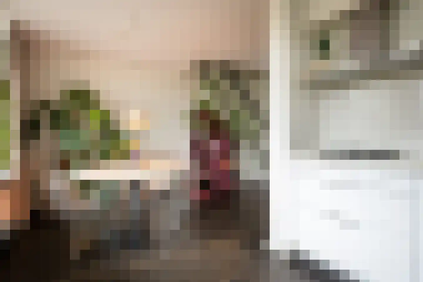 Sibeliusstraat 40 Bergen op Zoom thumbnail 7