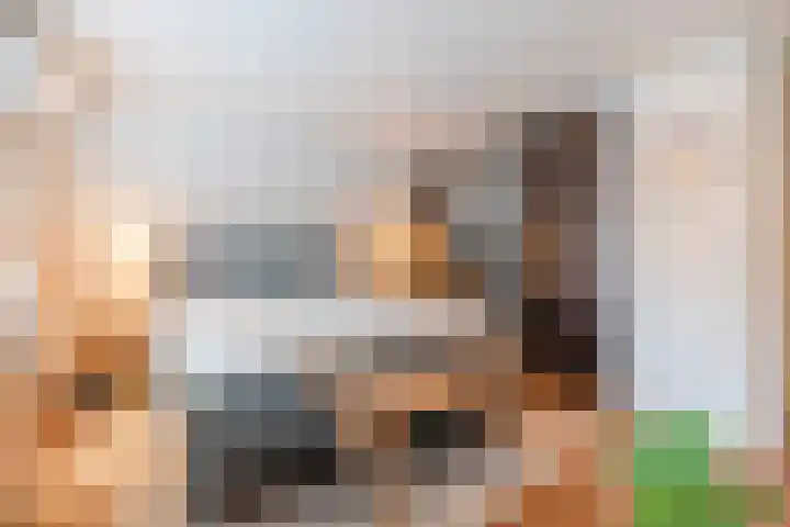 Sibeliusstraat 5 Bergen op Zoom thumbnail 33