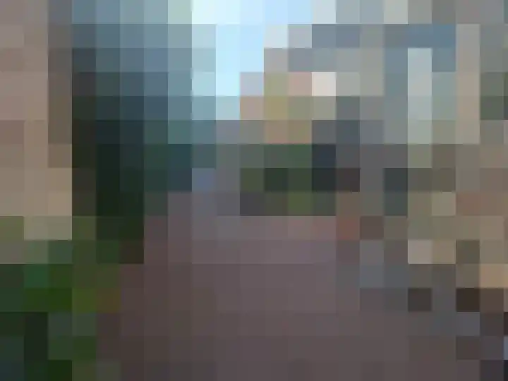 Sibeliusstraat 5 Bergen op Zoom thumbnail 47