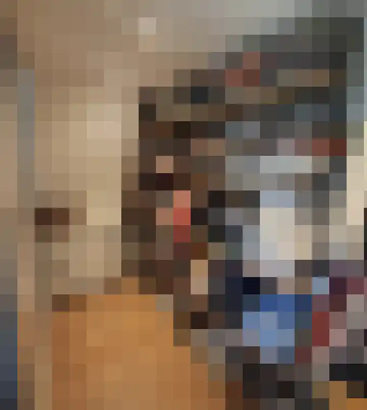 Sibeliusstraat 5 Bergen op Zoom thumbnail 50