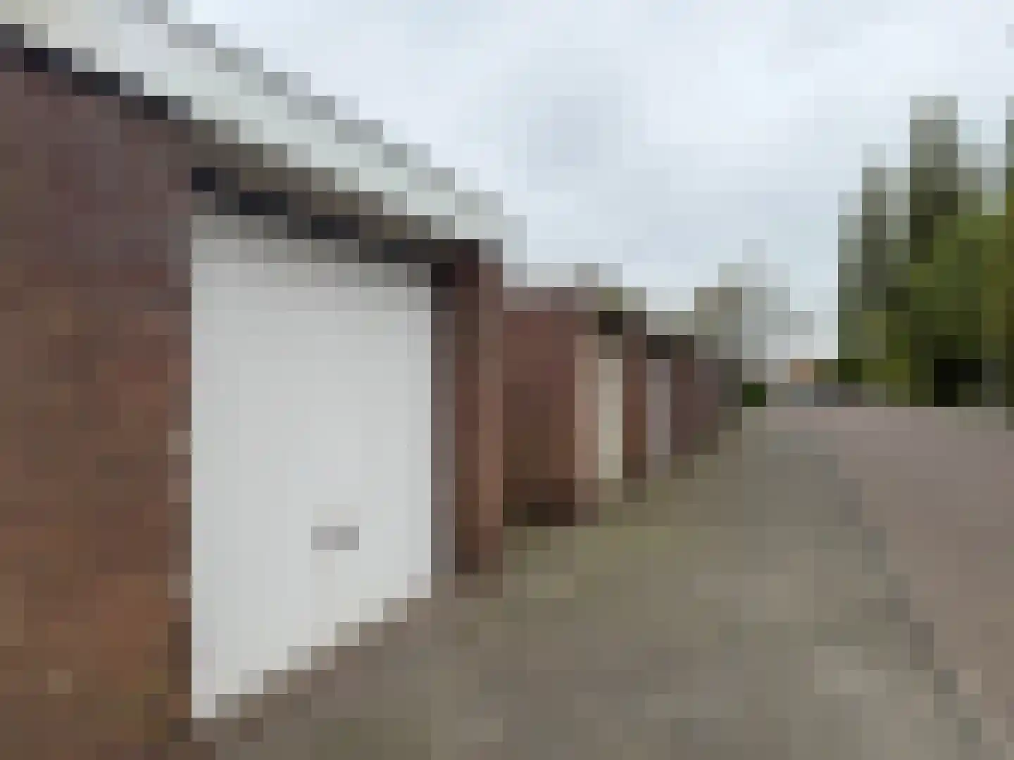 Sibeliusstraat 5 Leiden thumbnail 4