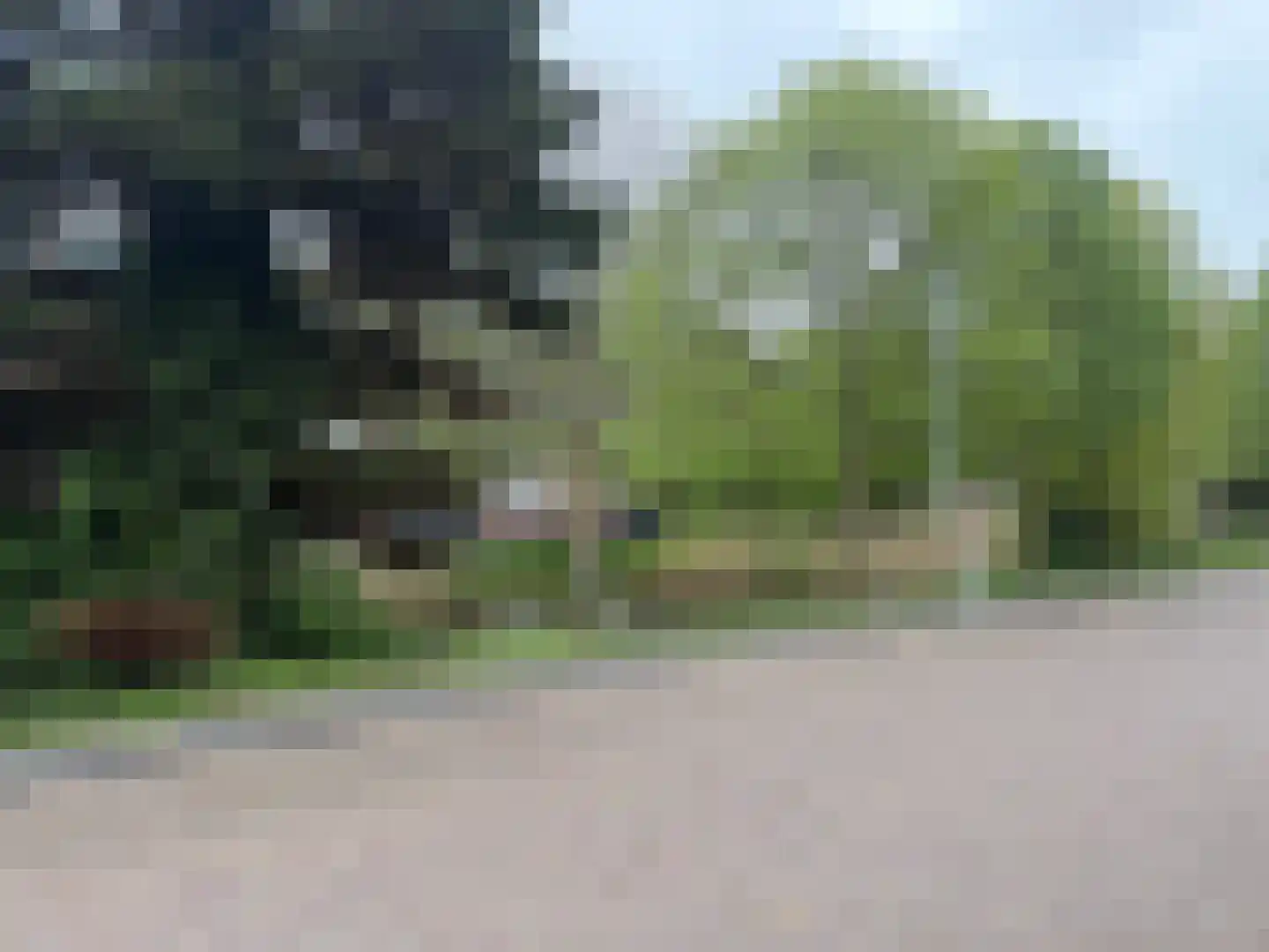 Sibeliusstraat 5 Leiden thumbnail 7