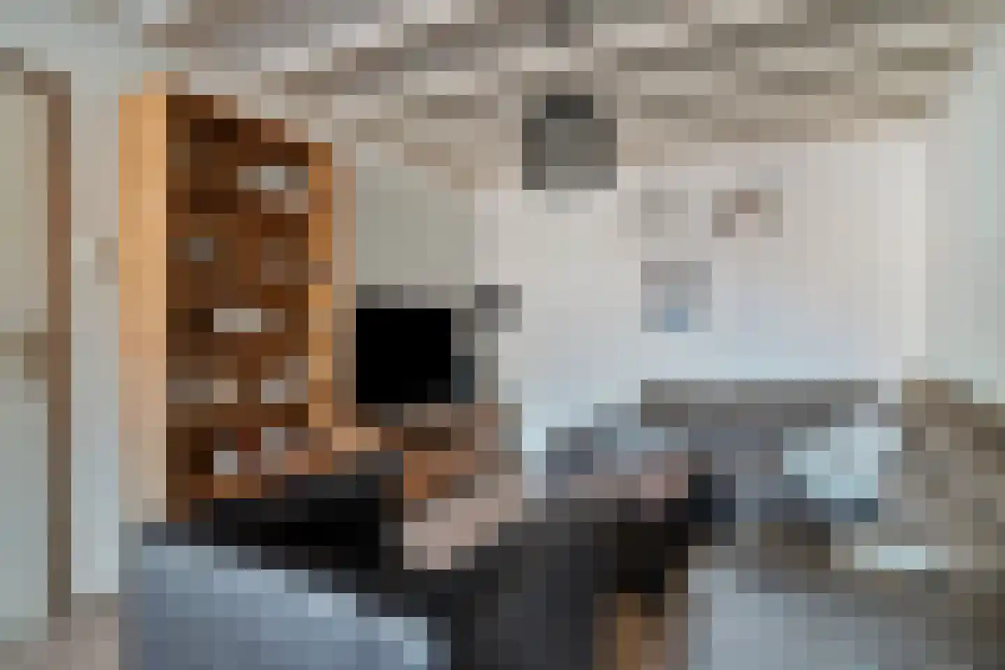 Sibeliusstraat 50 Bergen op Zoom thumbnail 30