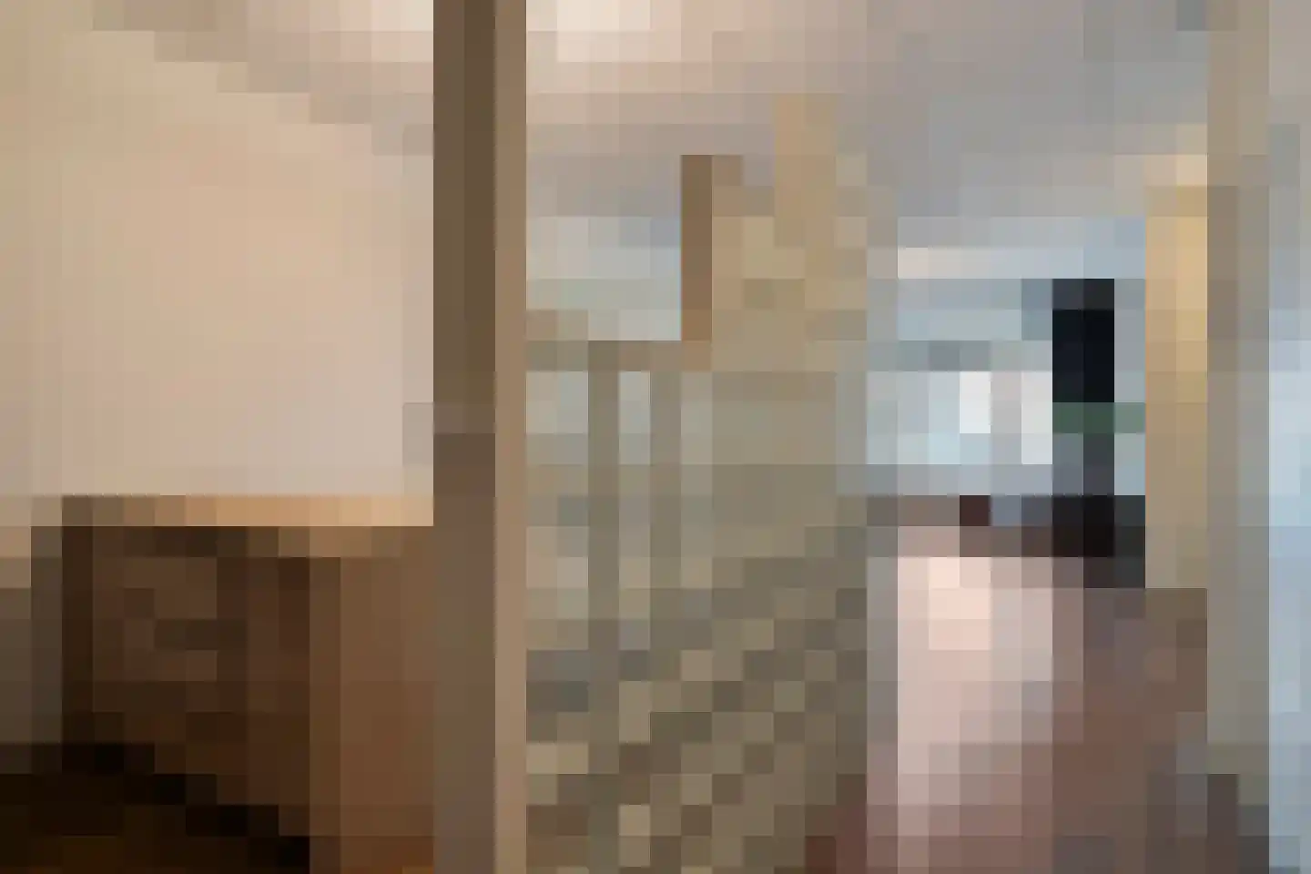 Sibeliusstraat 50 Bergen op Zoom thumbnail 9