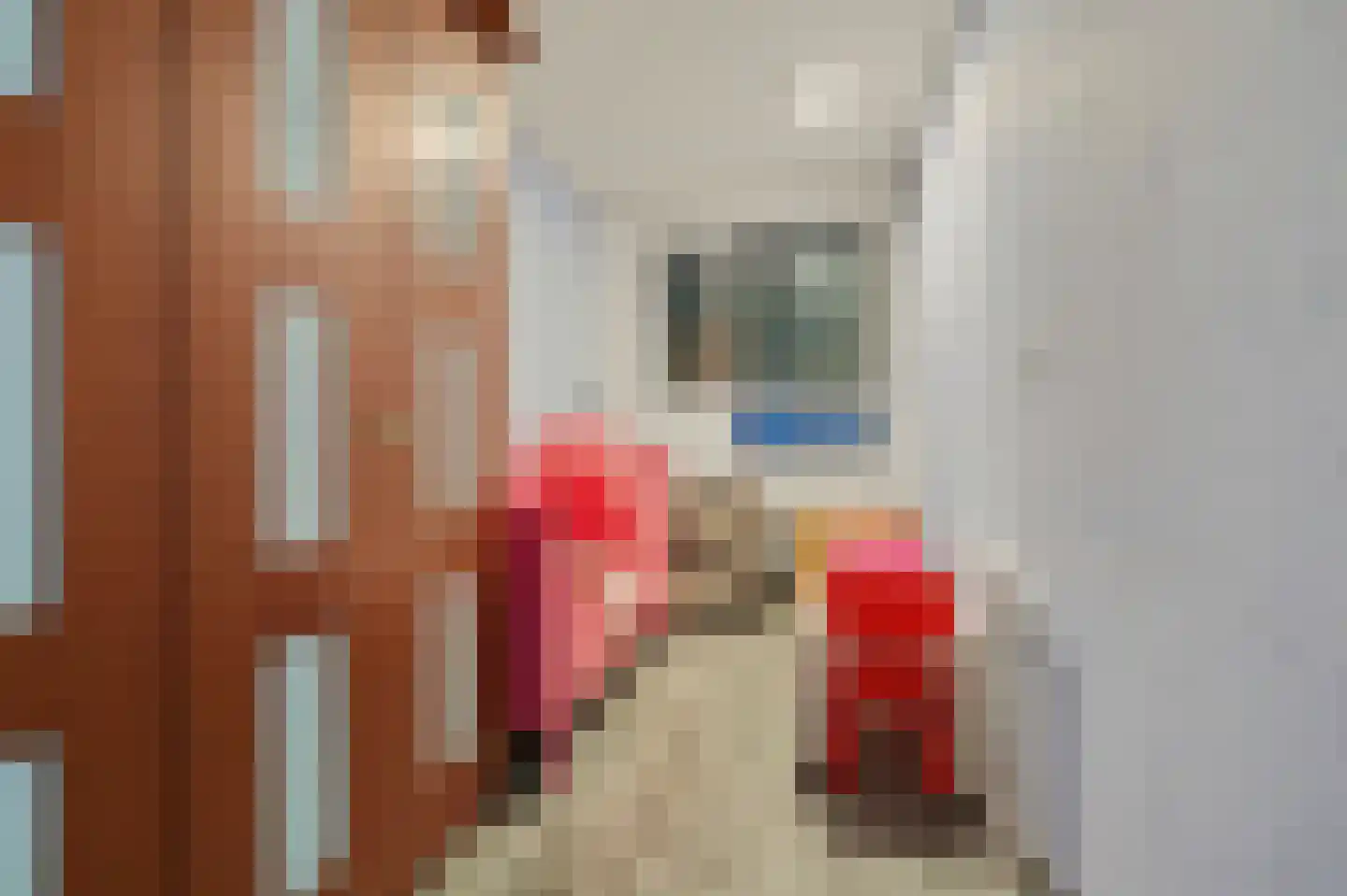 Sibeliusstraat 721 Tilburg thumbnail 16