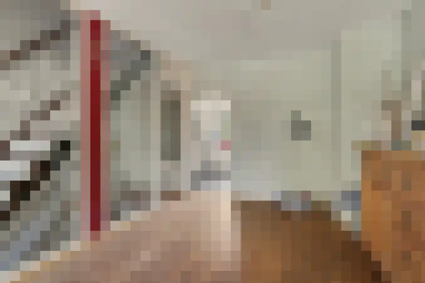 Sibeliusstraat 721 Tilburg thumbnail 6