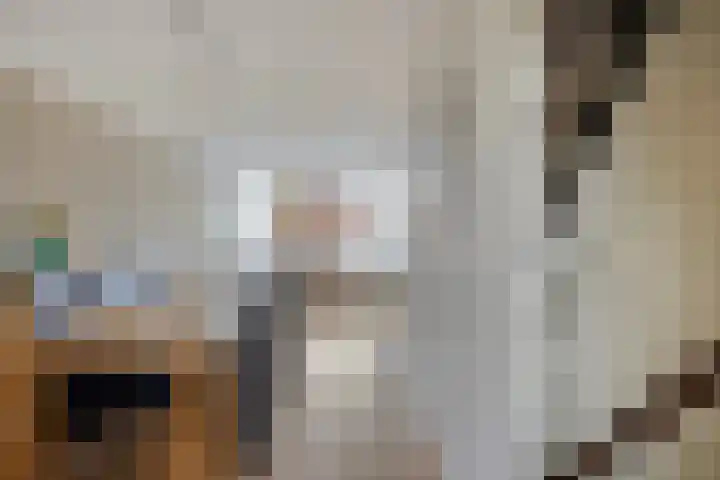 Sibeliusstraat 729 Tilburg thumbnail 16