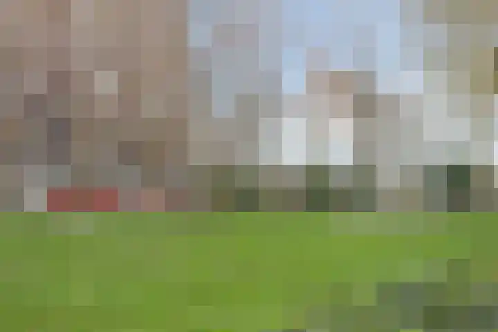 Sibeliusstraat 729 Tilburg thumbnail 36