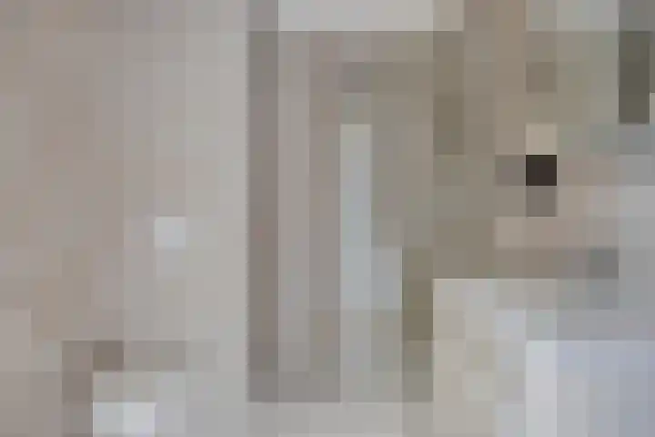 Sibeliusstraat 729 Tilburg thumbnail 5