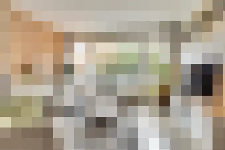 Sibeliusstraat 747 Tilburg thumbnail 10