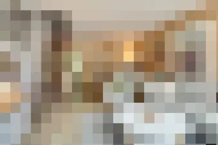 Sibeliusstraat 747 Tilburg thumbnail 11