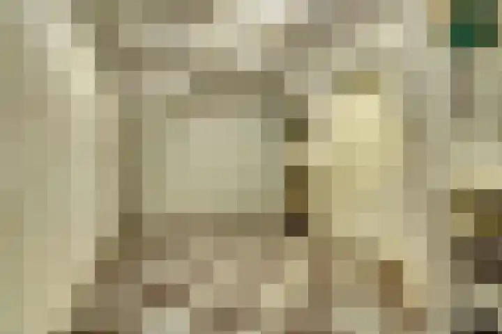 Sibeliusstraat 747 Tilburg thumbnail 30