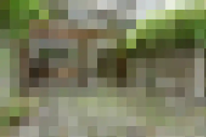 Sibeliusstraat 747 Tilburg thumbnail 32