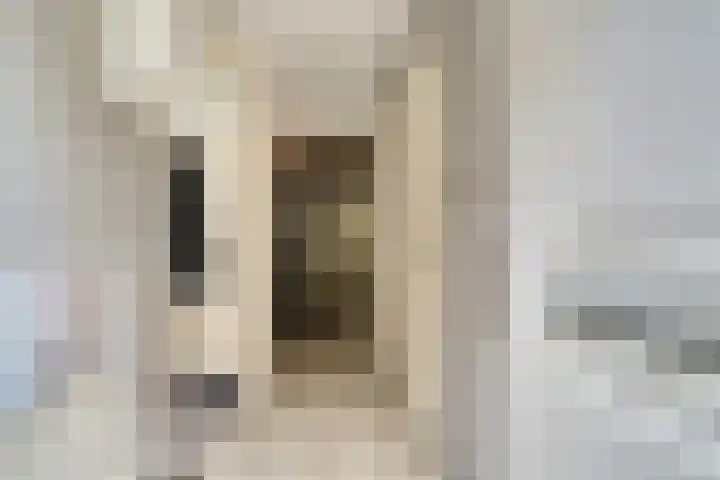 Sibeliusstraat 747 Tilburg thumbnail 8