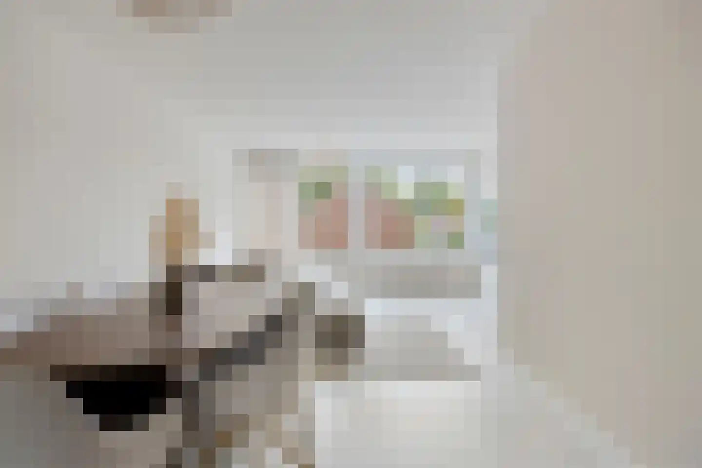 Sibeliusstraat 755 Tilburg thumbnail 25